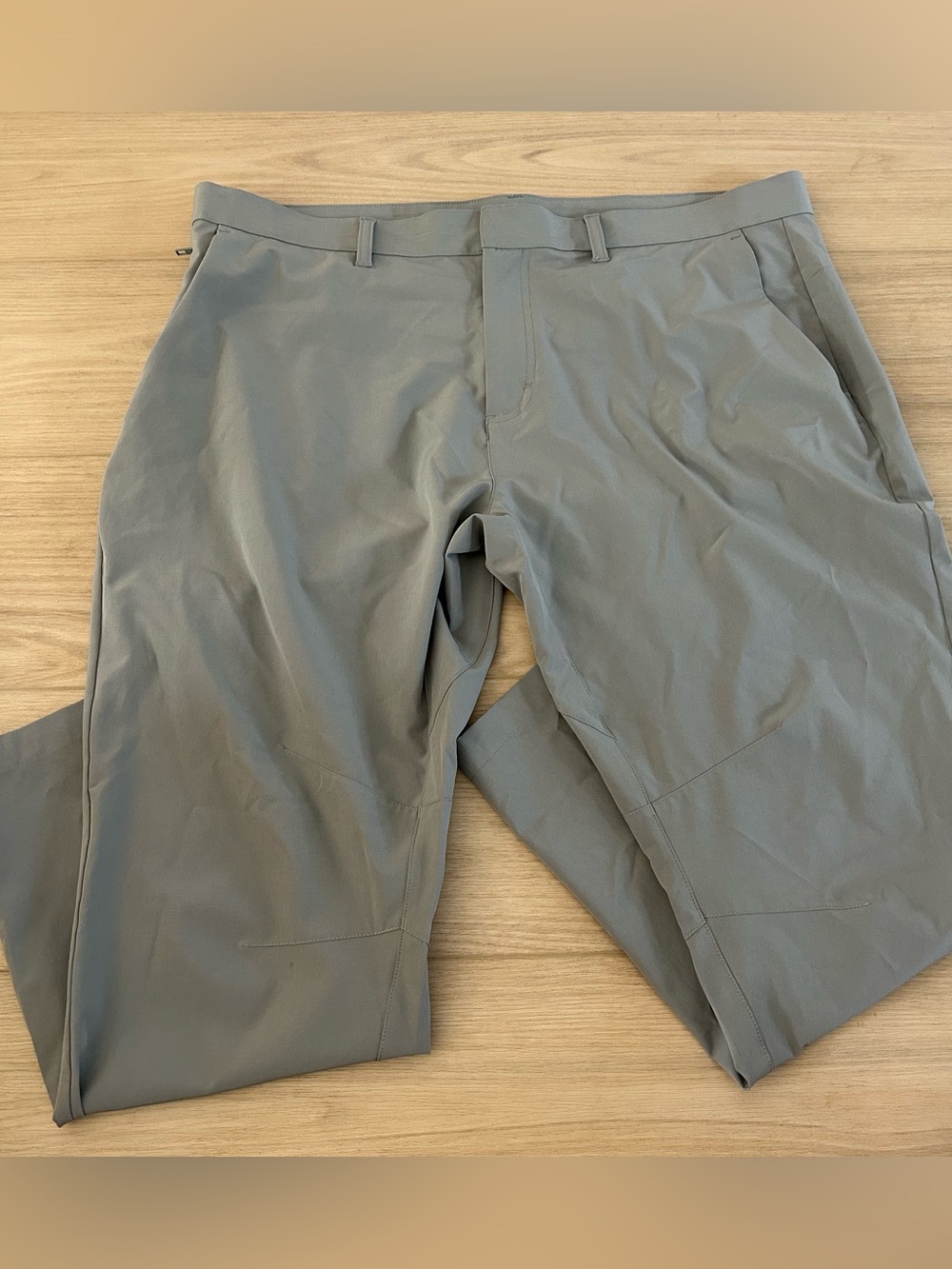 Fabletics Men’s Gray Pants